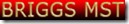 Briggs MST